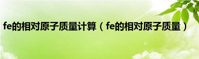 fe的相对原子质量计算(fe的相对原子质量)