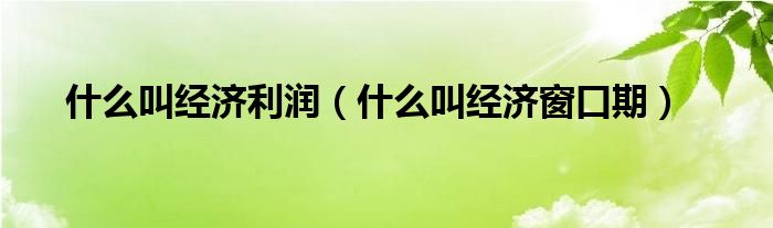 什么叫经济利润(什么叫经济窗口期)