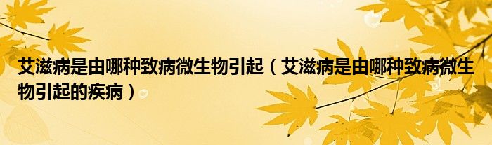 艾滋病是由哪种致病微生物引起(艾滋病是由哪种致病微生物引起的疾病)