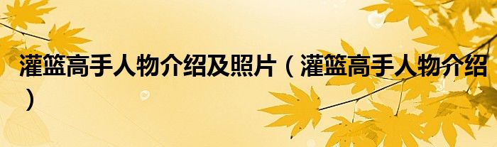 灌篮高手人物介绍及照片(灌篮高手人物介绍)