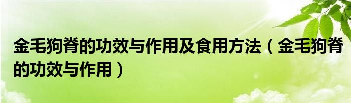 金毛狗脊的功效与作用及食用方法(金毛狗脊的功效与作用)