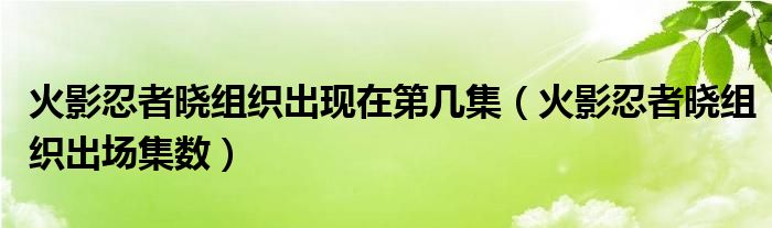 火影忍者晓组织出现在第几集(火影忍者晓组织出场集数)