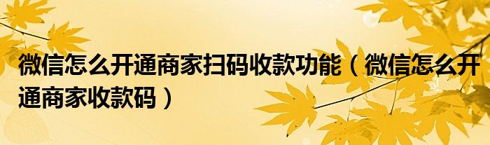 微信怎么开通商家扫码收款功能(微信怎么开通商家收款码)