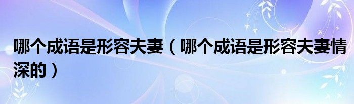 哪个成语是形容夫妻(哪个成语是形容夫妻情深的)