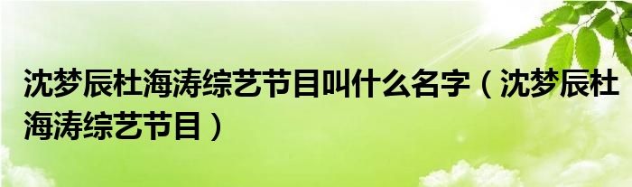 沈梦辰杜海涛综艺节目叫什么名字(沈梦辰杜海涛综艺节目)