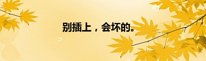 别插上，会坏的。