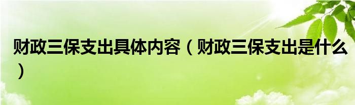 财政三保支出具体内容(财政三保支出是什么)