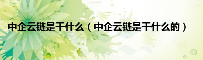 中企云链是干什么(中企云链是干什么的)