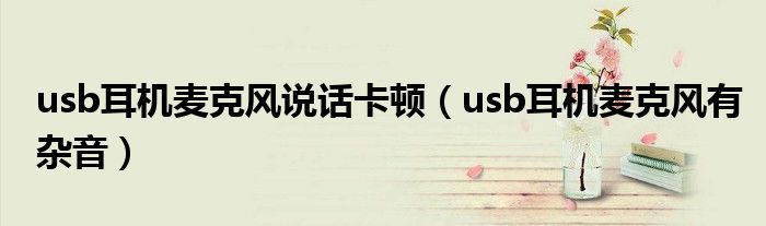 usb耳机麦克风说话卡顿(usb耳机麦克风有杂音)