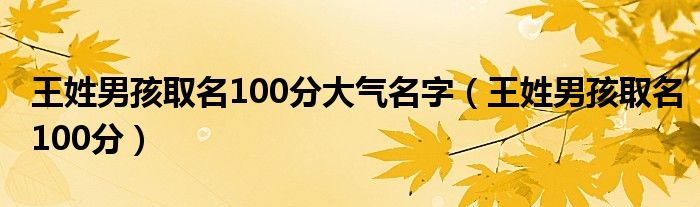 王姓男孩取名100分大气名字（王姓男孩取名100分）
