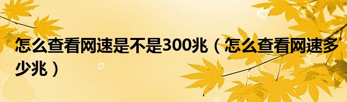 怎么查看网速是不是300兆(怎么查看网速多少兆)