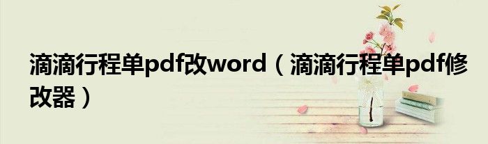 滴滴行程单pdf改word(滴滴行程单pdf修改器)