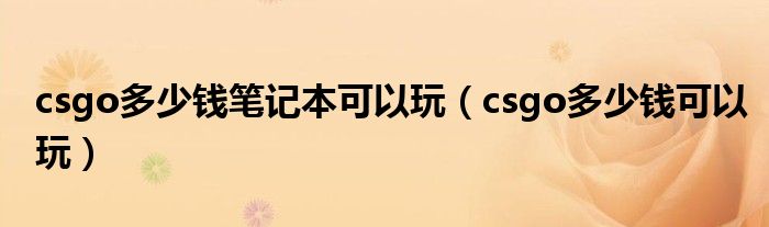 csgo多少钱笔记本可以玩（csgo多少钱可以玩）