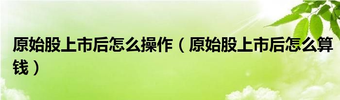 原始股上市后怎么操作(原始股上市后怎么算钱)