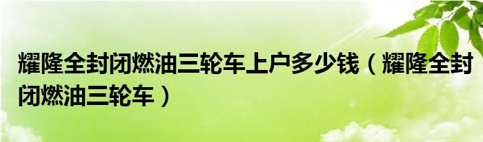 耀隆全封闭燃油三轮车上户多少钱(耀隆全封闭燃油三轮车)