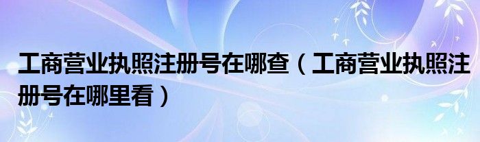 工商营业执照注册号在哪查(工商营业执照注册号在哪里看)