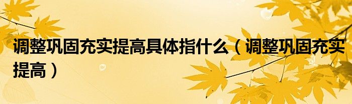 调整巩固充实提高具体指什么（调整巩固充实提高）