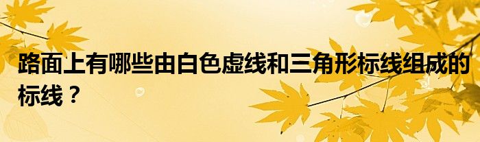 路面上有哪些由白色虚线和三角形标线组成的标线?