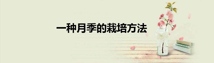 一种月季的栽培方法