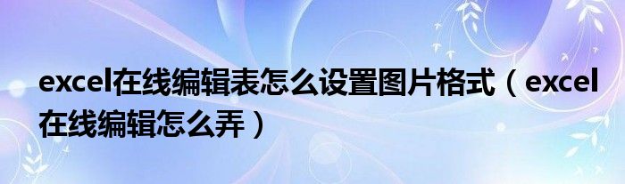 excel在线编辑表怎么设置图片格式(excel在线编辑怎么弄)