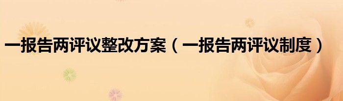 一报告两评议整改方案(一报告两评议制度)