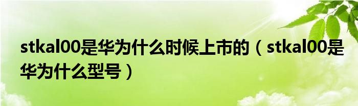 stkal00是华为什么时候上市的(stkal00是华为什么型号)