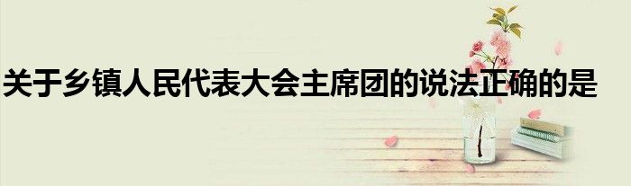 关于乡镇人民代表大会主席团的说法正确的是