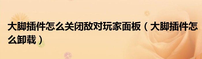 大脚插件怎么关闭敌对玩家面板(大脚插件怎么卸载)