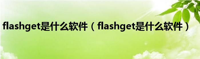 flashget是什么软件（flashget是什么软件）