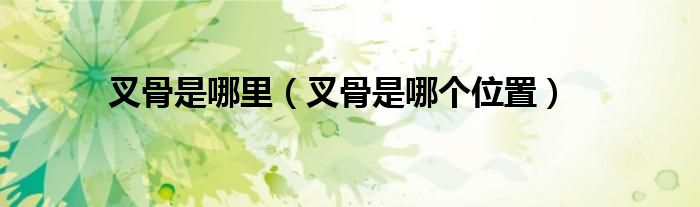 叉骨是哪里(叉骨是哪个位置)