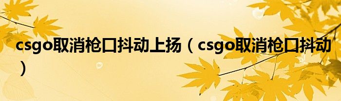 csgo取消枪口抖动上扬(csgo取消枪口抖动)