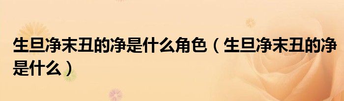 生旦净末丑的净是什么角色(生旦净末丑的净是什么)