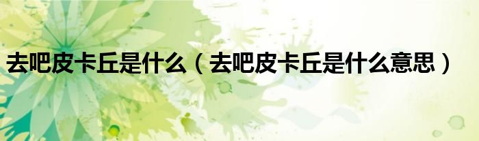 去吧皮卡丘是什么(去吧皮卡丘是什么意思)