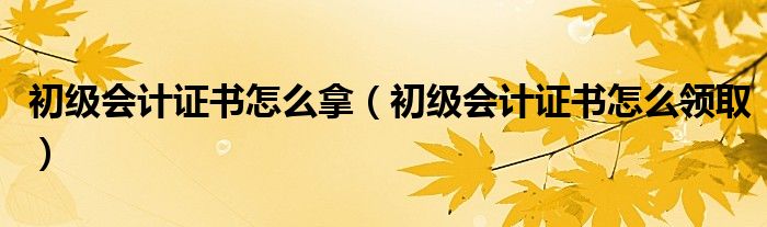 初级会计证书怎么拿(初级会计证书怎么领取)