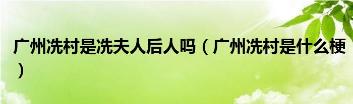 广州冼村是冼夫人后人吗（广州冼村是什么梗）