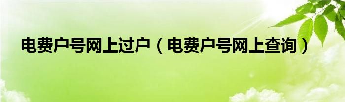 电费户号网上过户(电费户号网上查询)