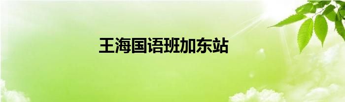 王海国语班加东站
