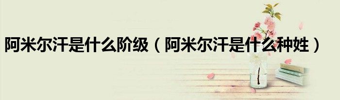 阿米尔汗是什么阶级(阿米尔汗是什么种姓)