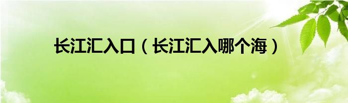 长江汇入口（长江汇入哪个海）