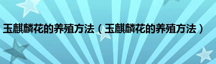 玉麒麟花的养殖方法（玉麒麟花的养殖方法）