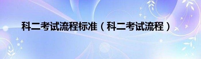 科二考试流程标准（科二考试流程）
