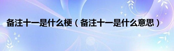 备注十一是什么梗(备注十一是什么意思)
