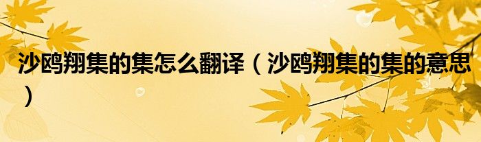 沙鸥翔集的集怎么翻译(沙鸥翔集的集的意思)