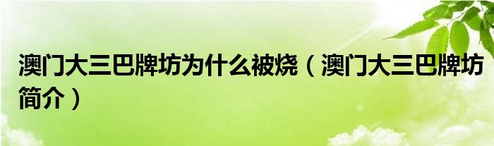 澳门大三巴牌坊为什么被烧(澳门大三巴牌坊简介)