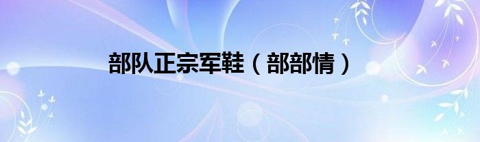 部队正宗军鞋（部部情）