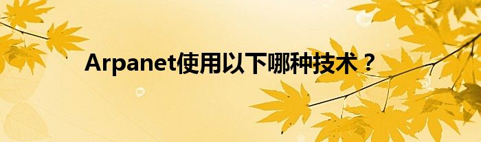 Arpanet使用以下哪种技术?
