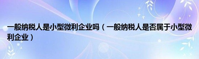 一般纳税人是小型微利企业吗(一般纳税人是否属于小型微利企业)