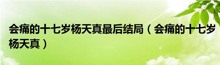 会痛的十七岁杨天真最后结局(会痛的十七岁杨天真)
