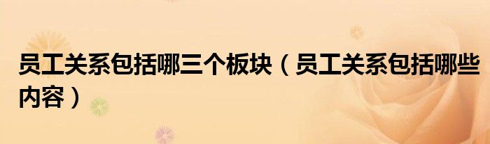 员工关系包括哪三个板块(员工关系包括哪些内容)