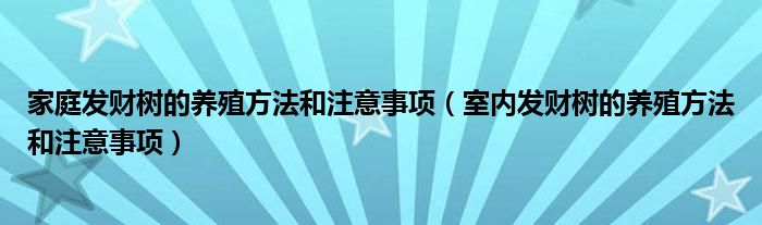 家庭发财树的养殖方法和注意事项(室内发财树的养殖方法和注意事项)
